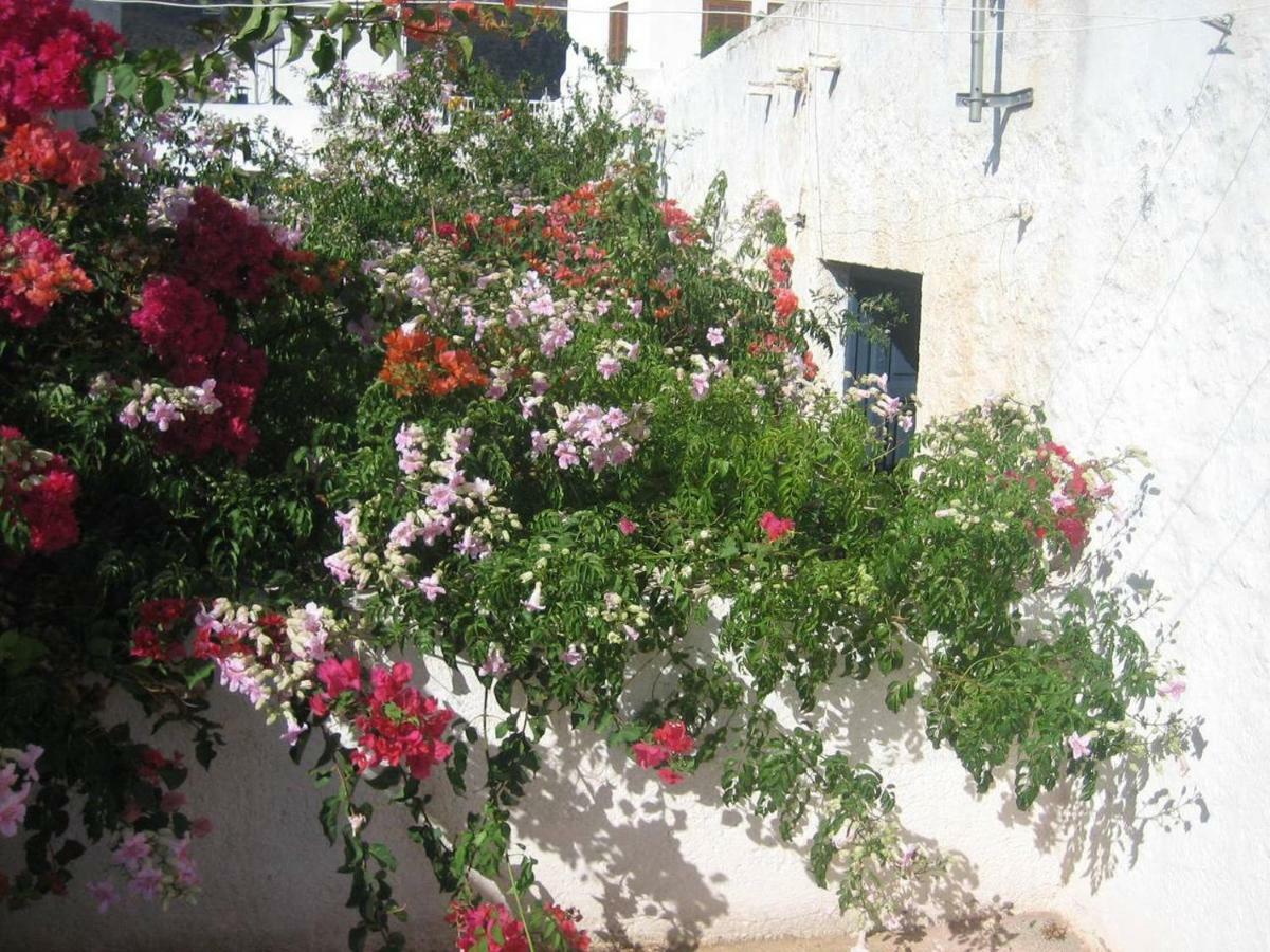 Casa De La Buganvilla 厄尔·坎皮洛·德·罗达尔 外观 照片